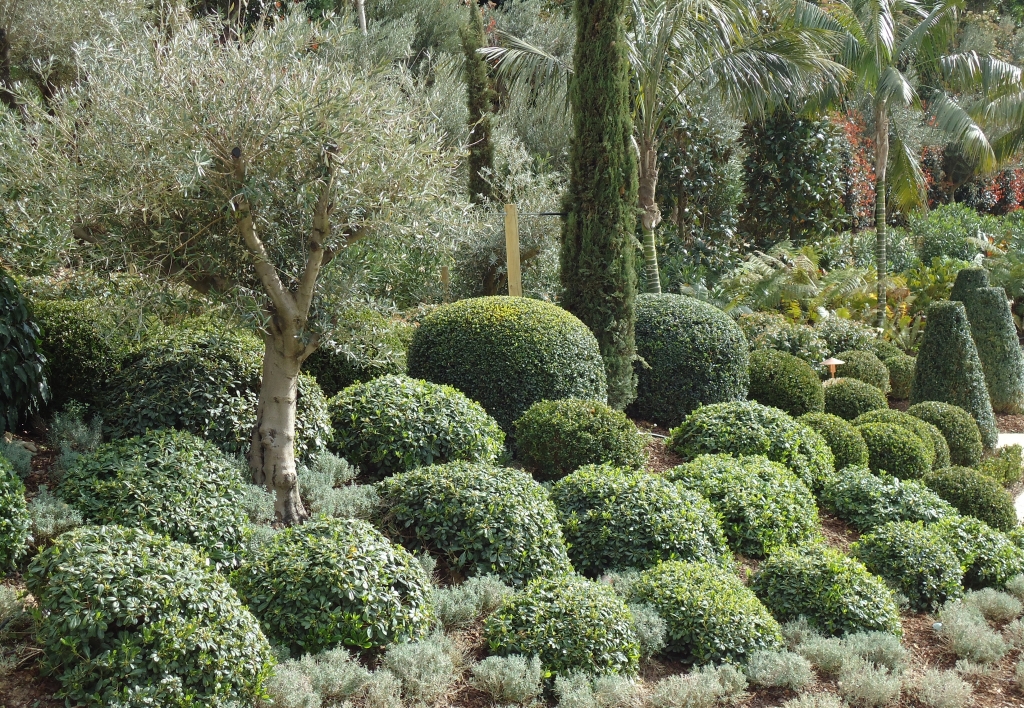 Jardim Vista – Excellence in Landscaping – Algarve, Lisboa, Dubai